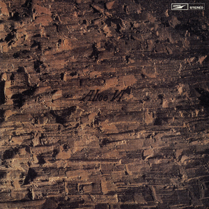 裸替美女裸奶头户外视频
