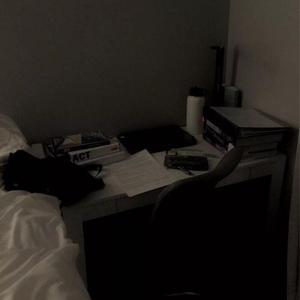 裸替美女裸奶头户外视频
